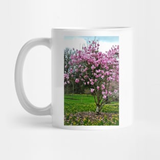 Magnolia Tree Batsford Arboretum Cotswolds UK Mug